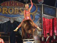 Zirkus Probst im Volkspark